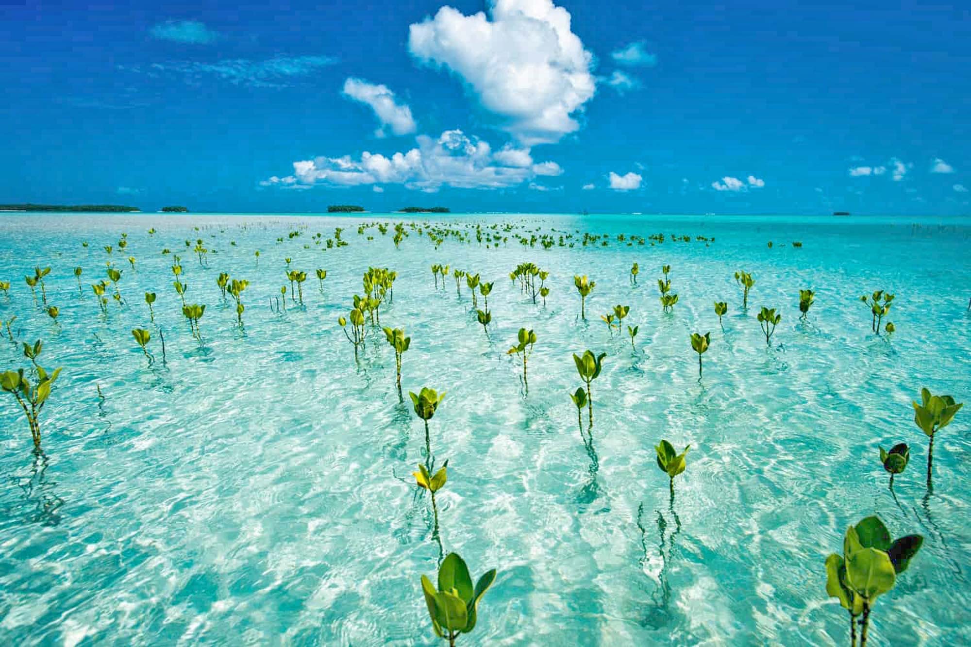 Tuvalu otočna država u Tiho oceanu