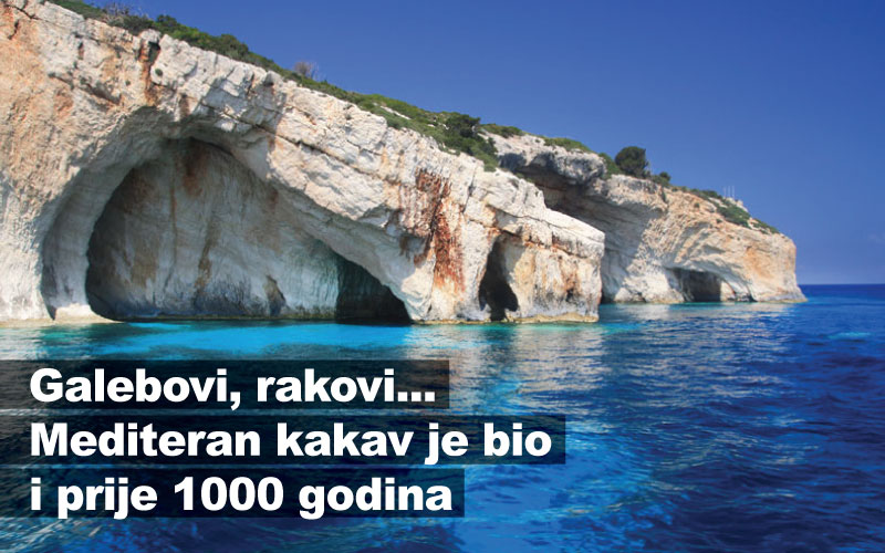 Galebovi, rakovi... Mediteran kakav je bio i prije 1000 godina