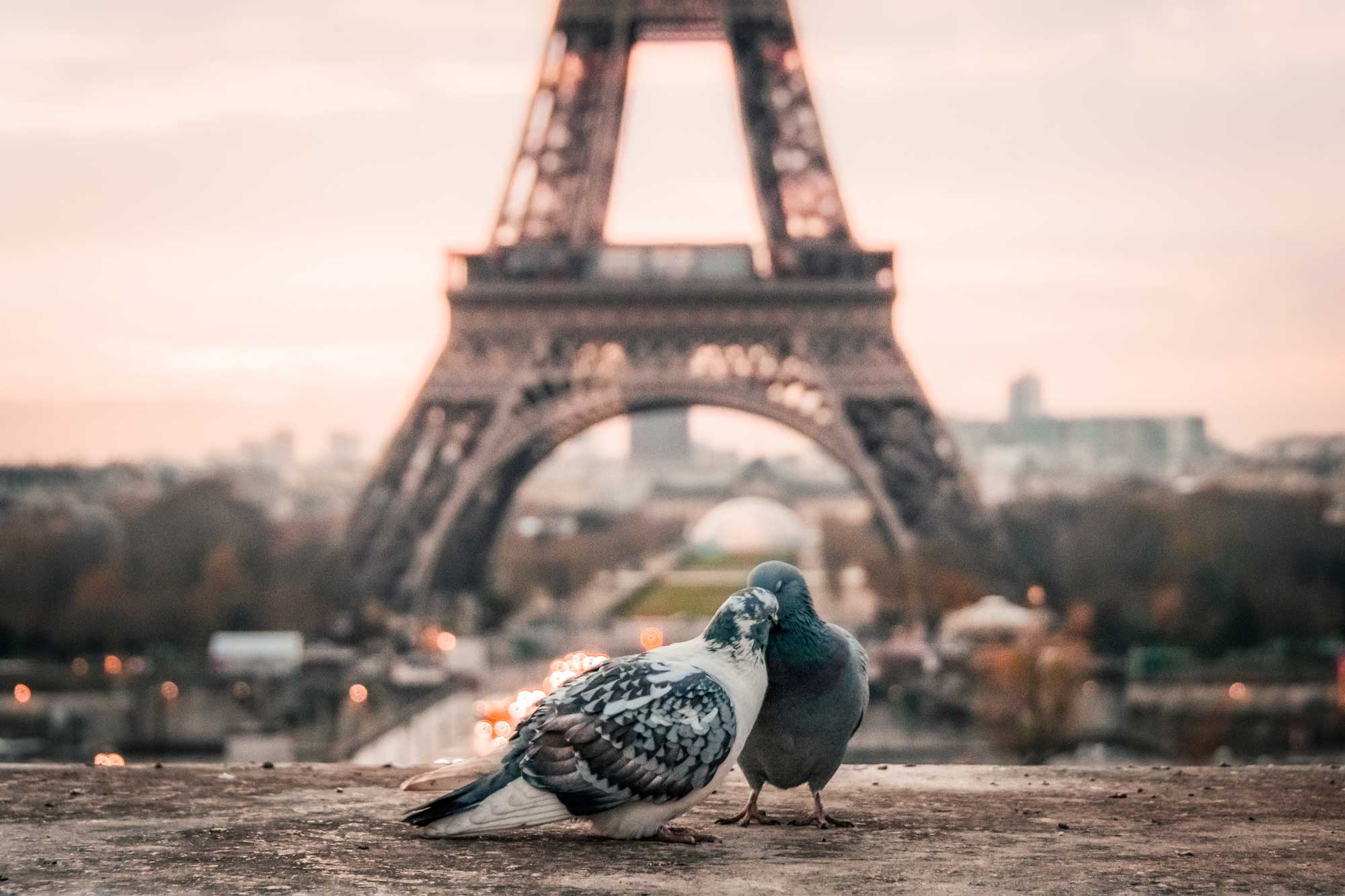 Zabrana Airbnb Pariz