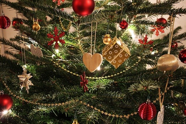 drvce ​Kupnja božićnog drvca
