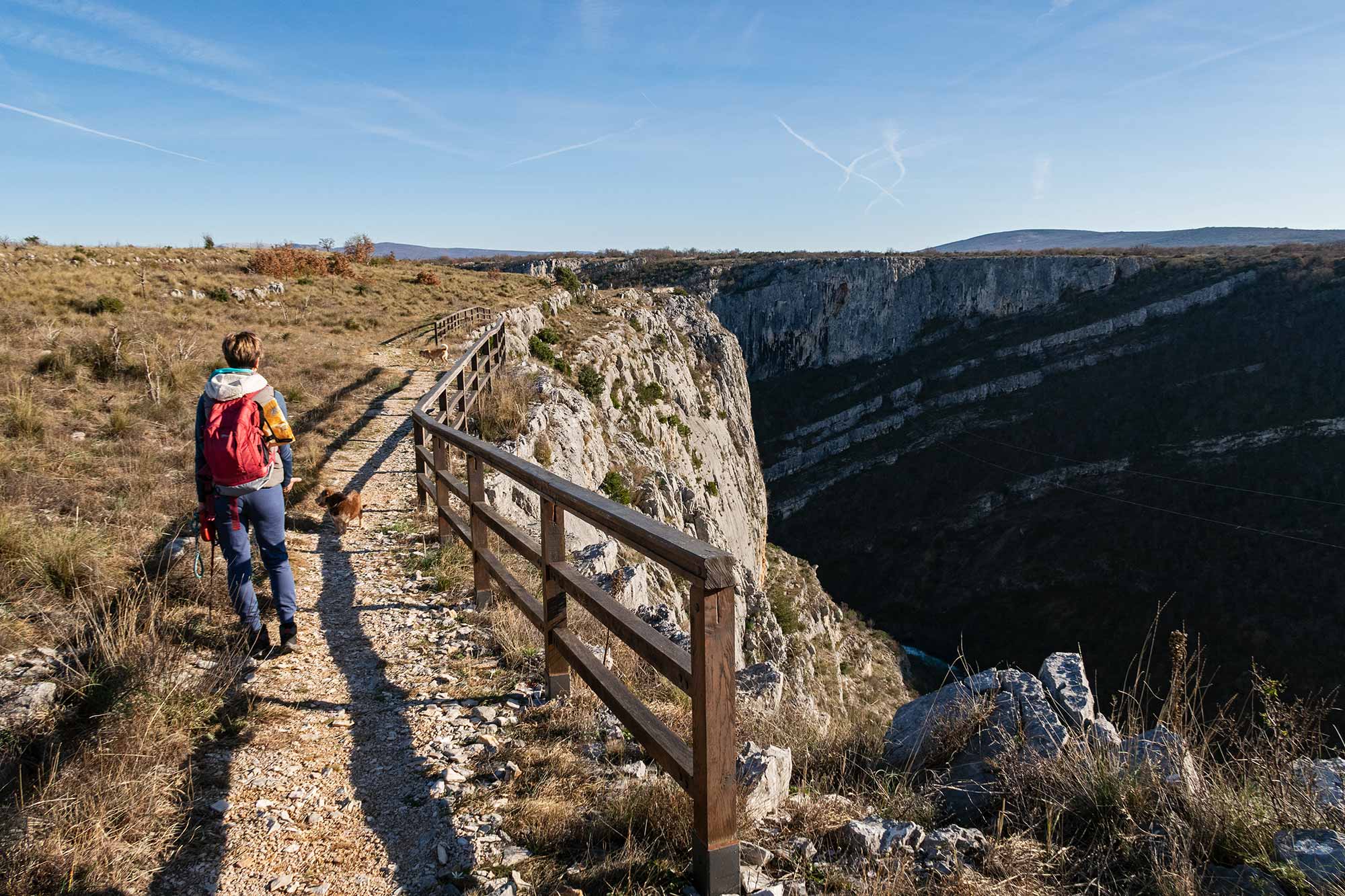 hrbat stijene Osoje nad Čikolom