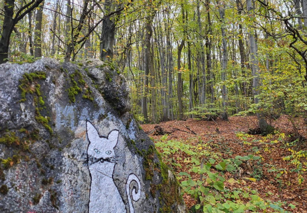 Šuma