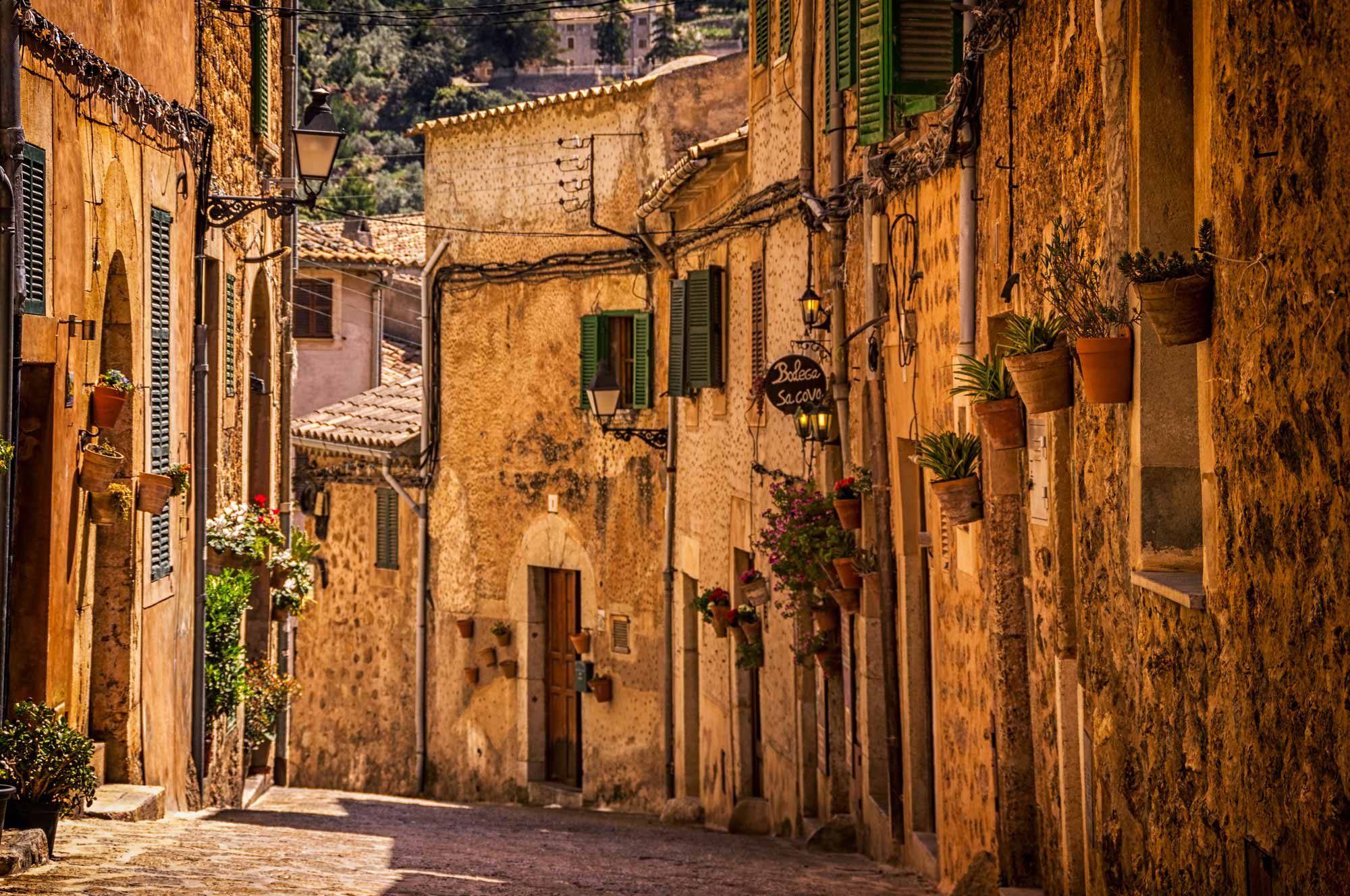 Valldemosa Španjolska