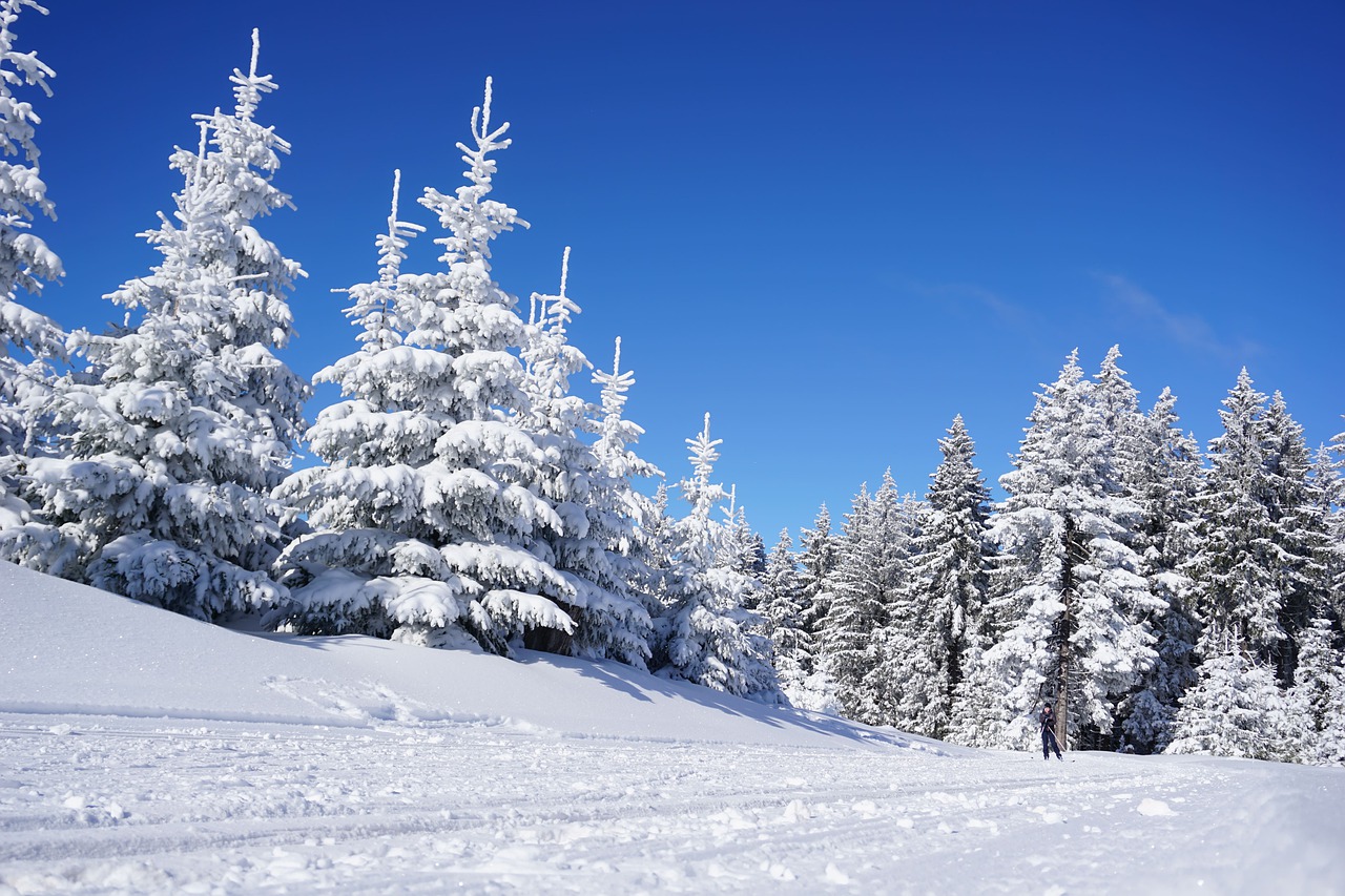 nedovoljno snijega za skijanje