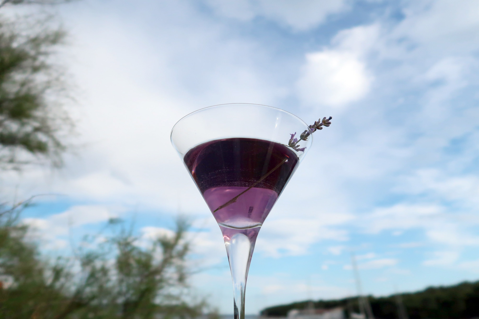 Lavanda Martini