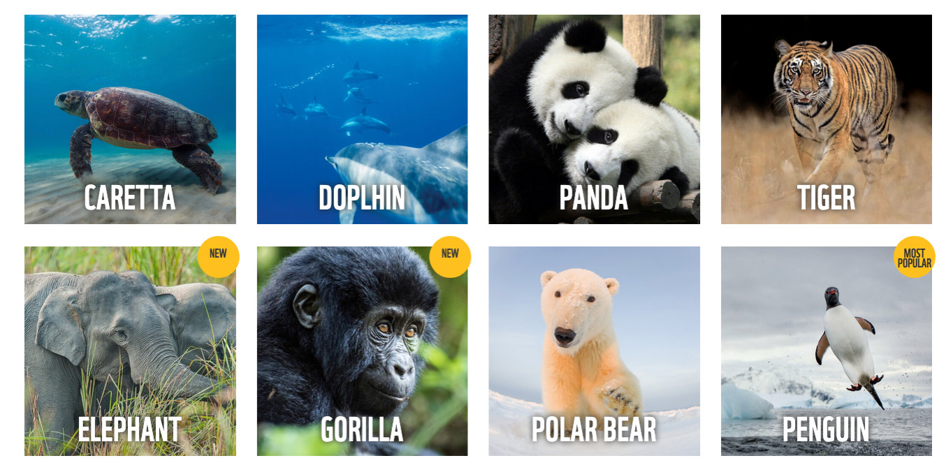 Posvajanje WWF